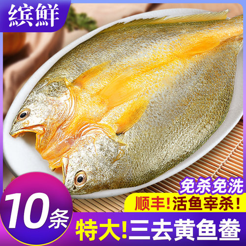 黄鱼鲞新鲜冷冻大黄鱼黄花鱼三去生鲜宁德小黄鱼鲜活海鲜海鱼商用-图3