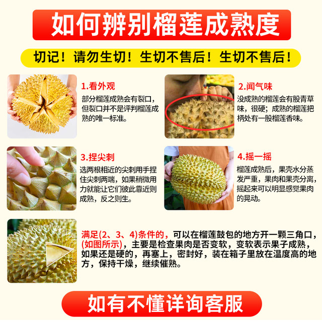 Thai Golden Pillow Durian Fresh Fruit has at least 5 rooms!