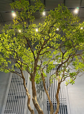 高端马醉木天井造景橱窗植物室内仿真绿植装饰树大型假树吊钟景观