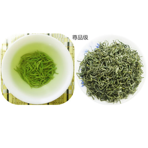 2026年新茶四川茶叶 早春峨眉山 明前毛尖绿茶茶叶 盒装250克尊品 - 图0