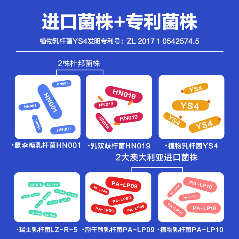 碧生源红参大人肠胃成年女性益生菌 碧生源益生菌