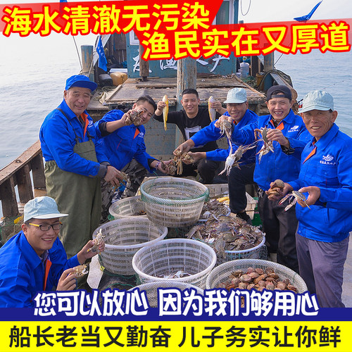 虾仁新鲜当天手剥鲜虾仁野生青虾仁青岛海鲜水产冷冻顺丰 - 图1