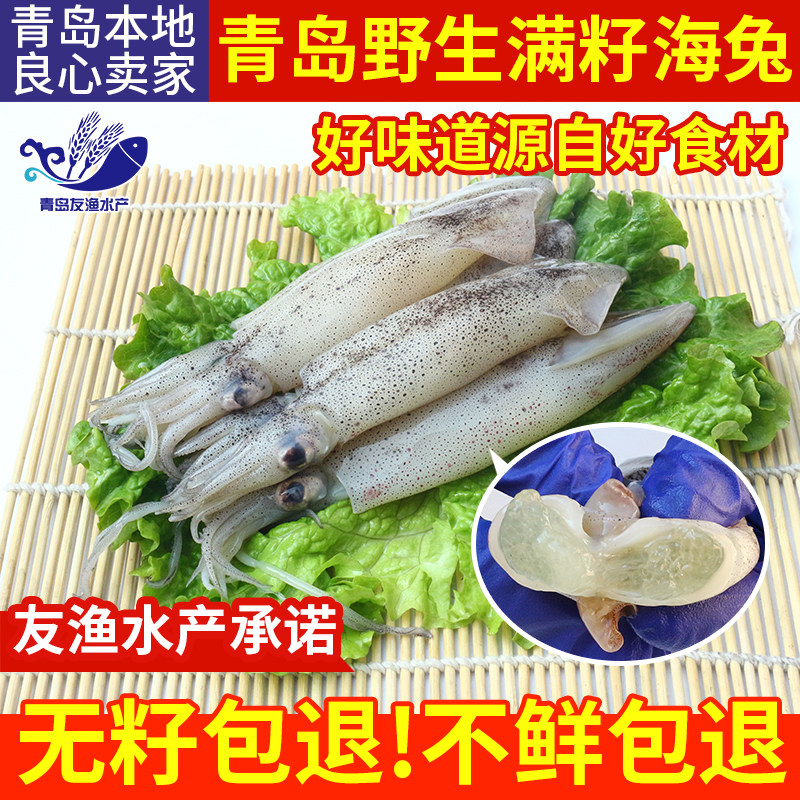 笔管鱼满籽鲜活海兔子海鲜墨鱼仔乌贼海鲜水产带籽鱿鱼新鲜250克_虎窝淘