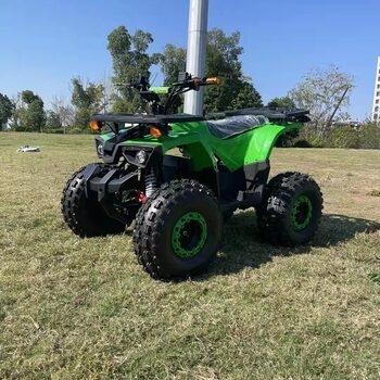 ATV ໄຟຟ້າ Ares 48V 1000W 4 ລໍ້ 4-wheel all-terrain mountain off-road ສະຖານທີ່ຍານພາຫະນະໃຫ້ເຊົ່າລົດຈັກ