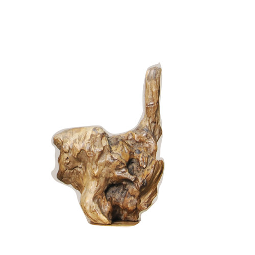 天然硬枯木整体随造形 微景观造景搭配 案台桌摆件 室内软装饰品 - 图3