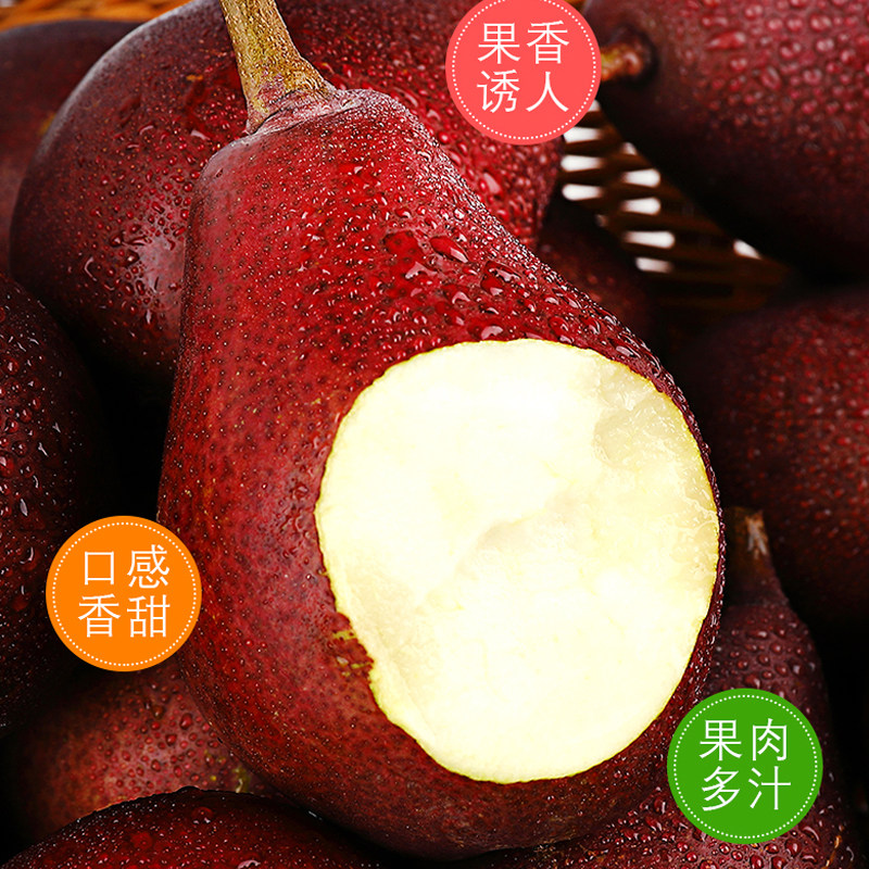 新鲜水果现摘红啤梨香甜大果应季当季农产品多汁红皮梨5斤装包邮_虎窝淘