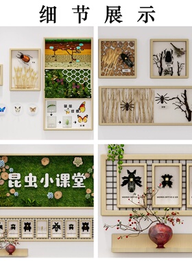 幼儿园昆虫标本立体木框文化墙