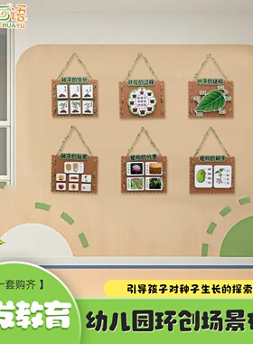 种子成长科学区环创植物角装饰