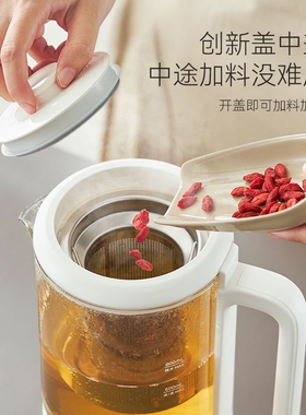 七彩叮当800mlmini养生壶高颜值