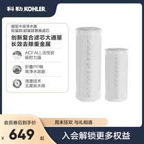 Colle Lisheng Central Water Purifier -PP020 PP010 Replacement Filter Element