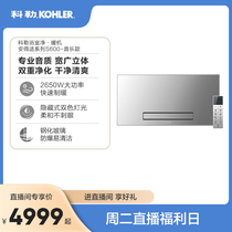 Koehler Net Warmers Bathrobe music Toilet Home Multifunction Bath Bulwara Warm Blower 23349T-MZ