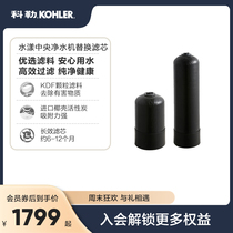 Kohler Water Rippling Central Water Purifier-Light Amount Overdose Replacement Filter