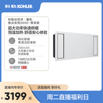 Koehler Bathroom Net Warm Machine Bath Bully Fast Heating Large Air Volume Purifying Bacteria Multifunction Wind Warm Bath Bully 21463T