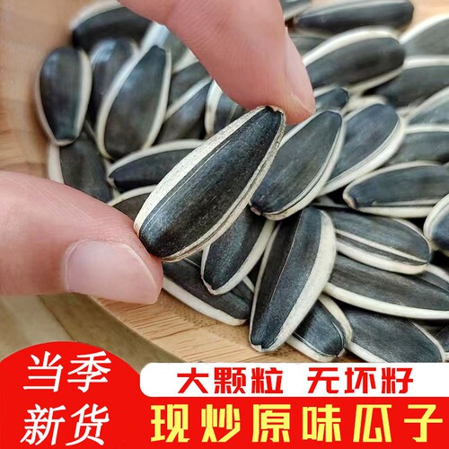 2025年新鲜生瓜子葵花籽新货原味瓜子炒熟大颗粒363向日葵散装5斤 - 图1