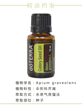 多特瑞芹菜籽精油15ml淡化润肤
