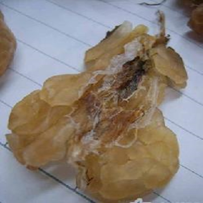 地道灬东北味雪蛤油正品长白山纯干新油120倍泡发木瓜炖雪蛤林蛙联体油纯干25g1