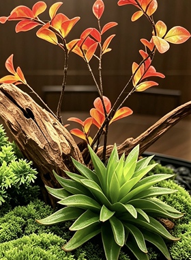 餐桌花艺仿真植物组合装饰永生苔藓枯木多肉小盆栽酒店圆桌花摆件