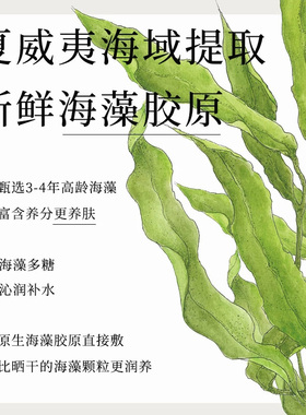寻荟记海藻芦荟黑面膜清洁水沁润光舒缓深层补水保湿男女学生盒装