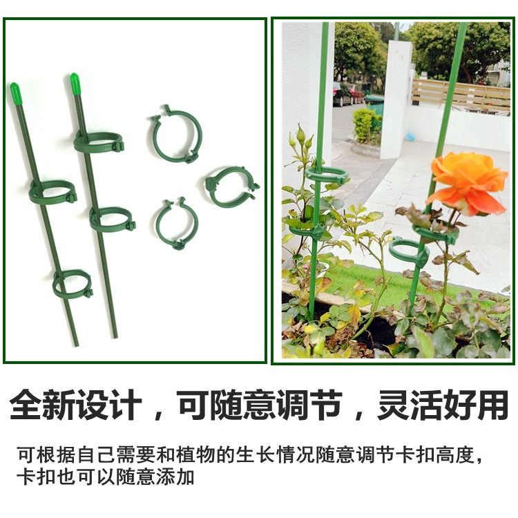 园艺种花盆栽植物支撑杆兰花天堂鸟金钱树支架爬藤架固定卡扣立柱 - 图2