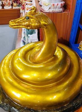 大黑蟒黑蛇灵蛇常蟒真身太爷太奶