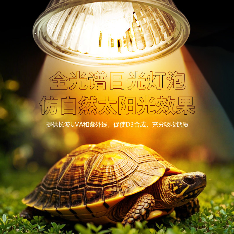 芦丁鸡保温灯乌龟晒背小鸡育雏取暖加热小太阳灯泡晒龟灯,淘宝优惠券,粉丝福利购,淘宝优惠卷