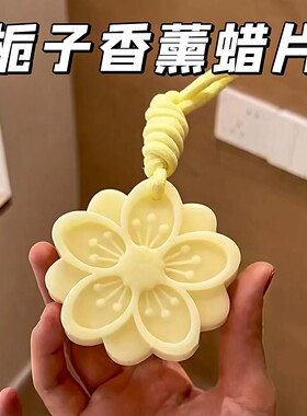 衣柜固体香薰蜡片除臭持久留香