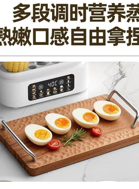 德国2026电蒸锅家用可视化多功能