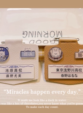 春夏徽章皮质胸针礼物