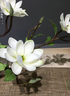 设计师茶几玄关摆放绢花玉兰