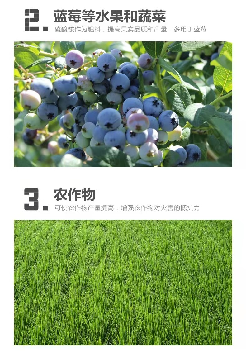 全水溶高纯晶体硫酸铵肥料优级纯蓝莓专用酸性氮肥果树900g沃润康,淘宝优惠券,粉丝福利购,淘宝优惠卷