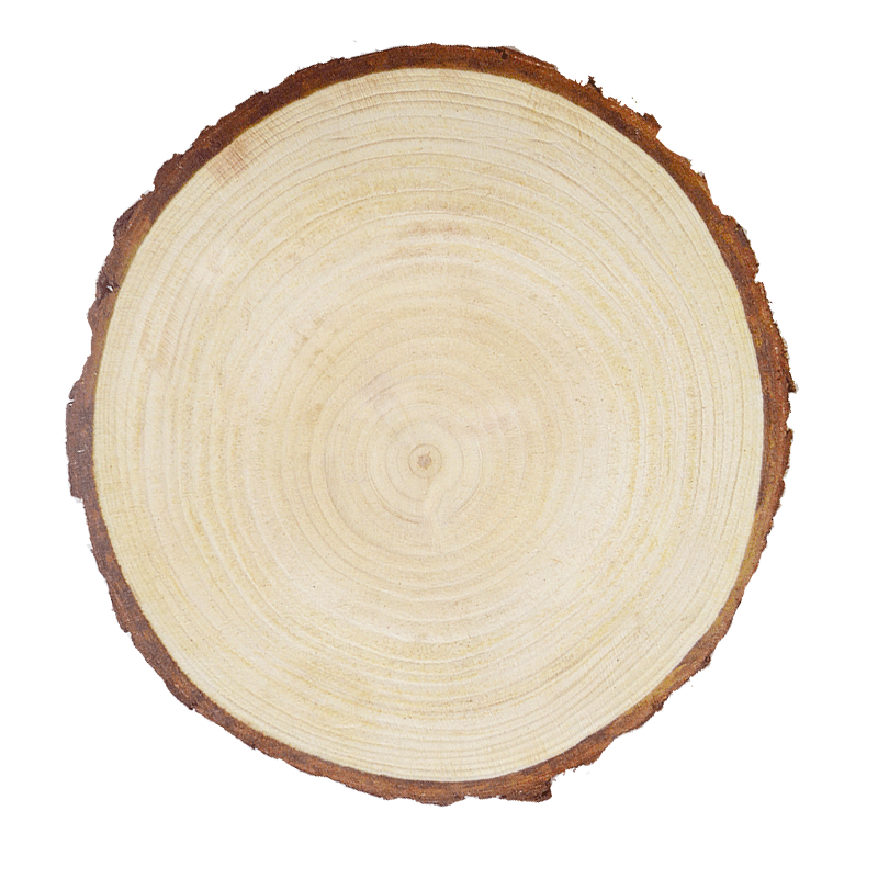 原木片年轮diy 圆木装饰背景墙手绘画小圆实木材料手工环创木头块 小编推荐 Wepost 全民代运 马来西亚中国淘宝代运与集运专家