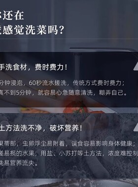 荣事达食材净化机无线便携式水果蔬菜清洗机去农药残留果蔬净化器