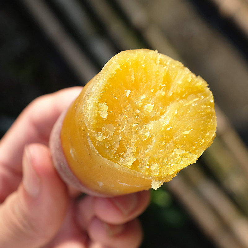 5斤装中号 野茗鲜番薯