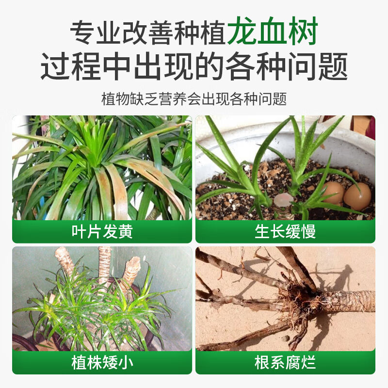 尚洋龙血树专用植物营养液免稀释500mL园艺盆栽花肥料水培有机叶 - 图2