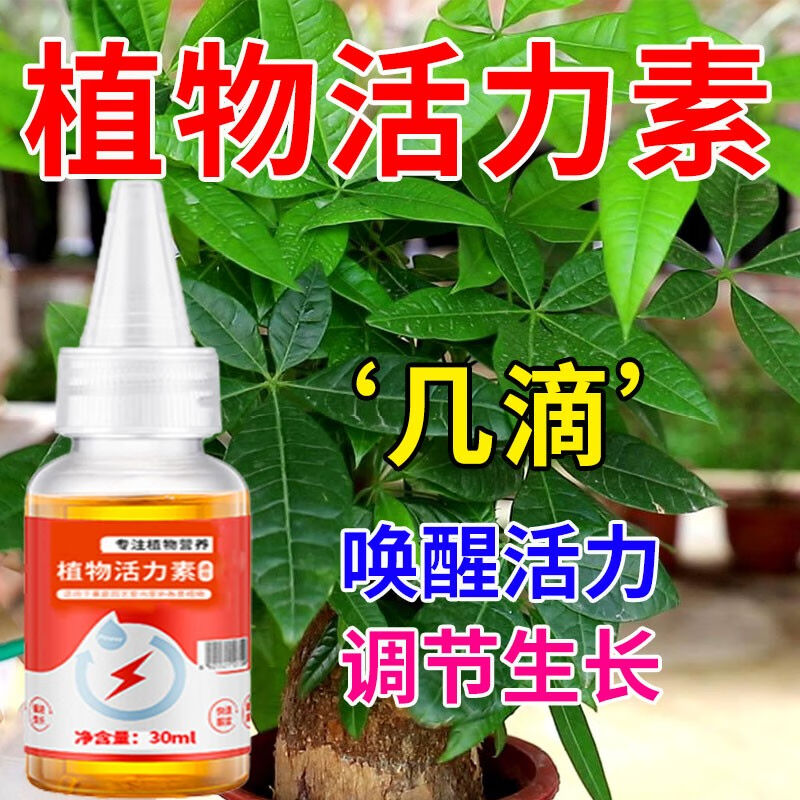 高浓缩植物通用活力素生根壮苗促生长花卉盆栽绿植营养液养花肥料 - 图0