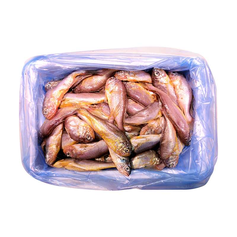 大头宝鱼梅童鱼大连本地冰鲜速冻大头宝鱼肉海鲜黄梅子花鱼2斤4斤,淘宝优惠券,粉丝福利购,淘宝优惠卷