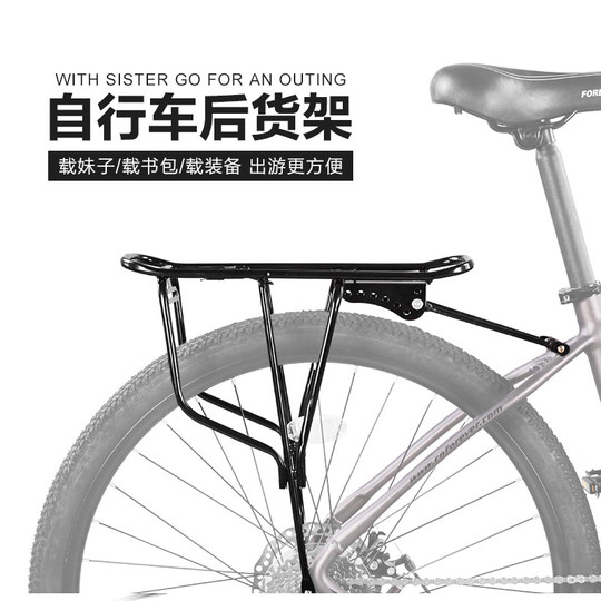 Гигантский универсальный высокопрочный горный велосипед с грузом и багажником.