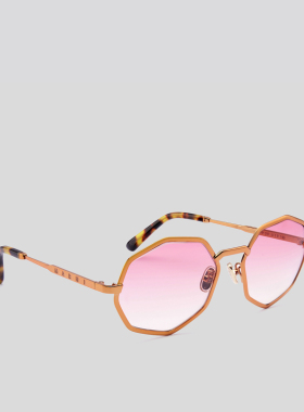 女士棱角框架太阳眼镜