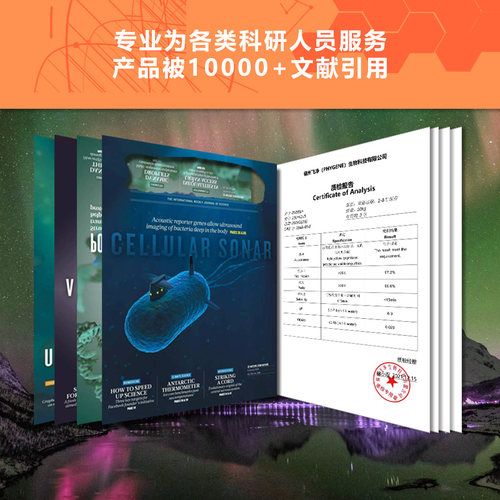 人工肠液 SIF模拟液 无菌 人工小肠液 500mL实验 PH1841 PHYGENE - 图2