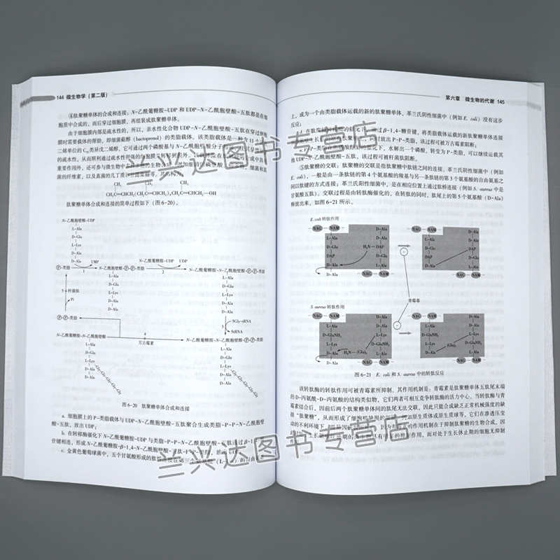 微生物学 第二版第2版 路福平 李玉 中国轻工业出版社 高等学校生物工程专业教材 9787518430536 图书籍 - 图3