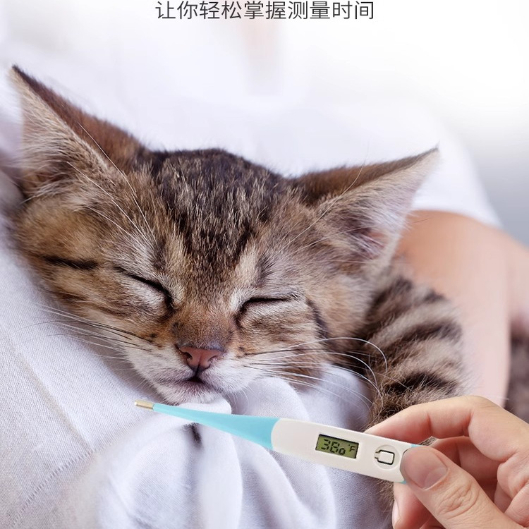 Veterinary Thermometer Cat and Dog Thermometer