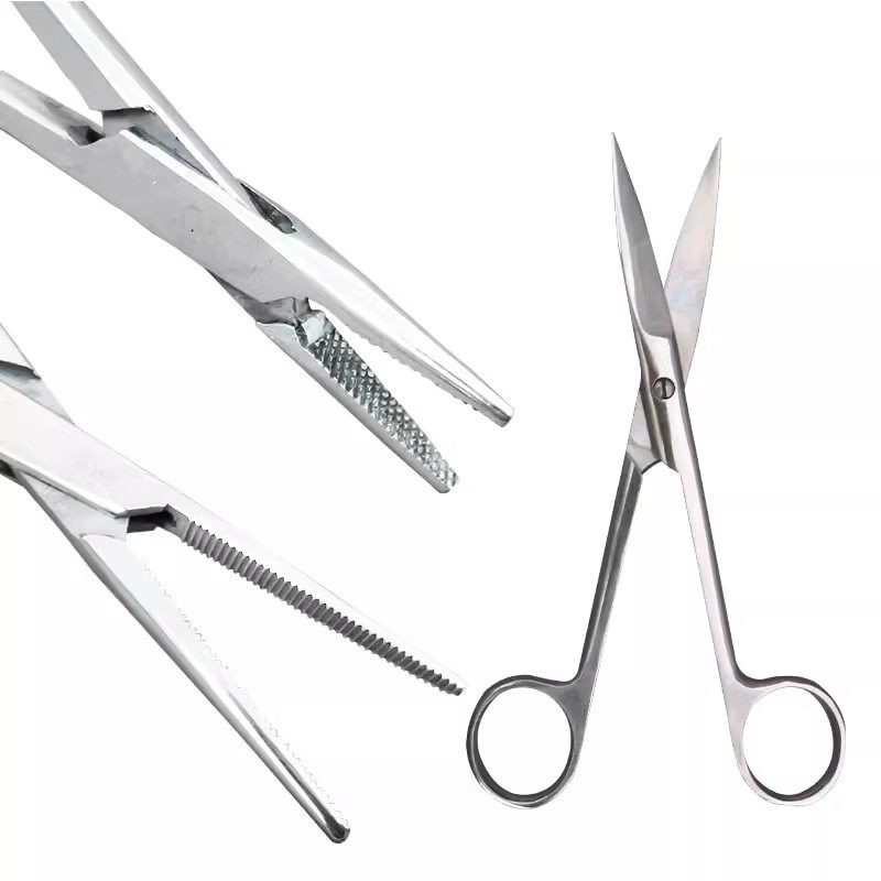 不锈钢兽用剪剪刀拔毛钳子直头弯头拔火罐镊子弯盘钳子夹酒精棉钳,淘宝优惠券,粉丝福利购,淘宝优惠卷