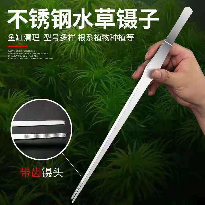 不锈钢镊子爬虫喂食镊子蜥蜴水龟蜘蛛蜈蚣守宫宠物蛇直头弯头,淘宝优惠券,粉丝福利购,淘宝优惠卷