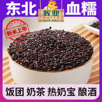 Glow Northeast Blood Sticky Rice New Rice Zhengzong Black Sticky Rice Purple Rice Black Rice Group Snow Commercial Hot Milk Zongzi Special