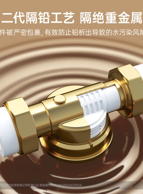 伟星前置过滤器QZBW25G-S9