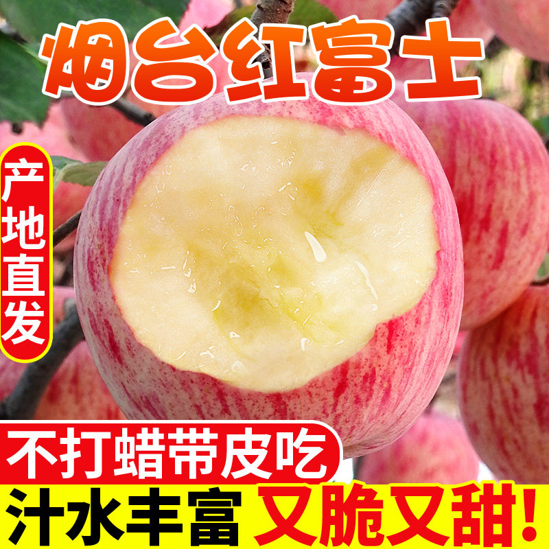 烟台苹果水果山东栖霞红富士苹果新鲜一级精品冰糖心10整箱当季斤
