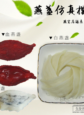 燕窝仿真血燕毛燕工艺品道具