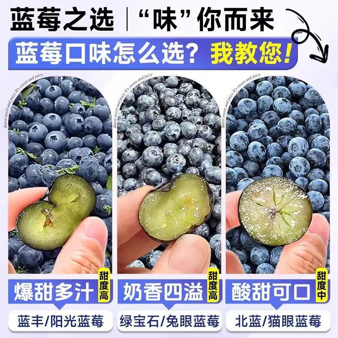 蓝莓树果苗盆栽果树苗特大号百香果四季种植庭院室内阳台耐寒好养,淘宝优惠券,粉丝福利购,淘宝优惠卷