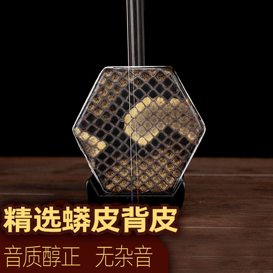 Профессиональный эрху из черного сандалового дерева громко играет