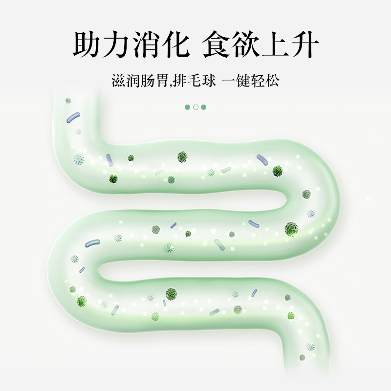 天卜卜龙猫仓鼠磨牙甜竹50克小动物天然高纤维磨牙棒助力消化,淘宝优惠券,粉丝福利购,淘宝优惠卷